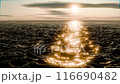 Sea water surface. Aerial view over clear sea water. 116690482