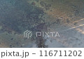 A body of water with a lot of debris floating on the surface 116711202