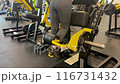 ordinary woman training Back of the thigh in gym 116731432