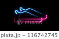 Sports blue and pink shoes in a line style. Sneakers on a black background . Healthy lifestyle. 116742745
