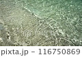 真夏の沖縄　透明度抜群の海　波打ち際 116750869