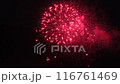 夏の花火大会 / お祝いの花火 116761469