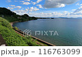 湾岸線を走る列車と青い空、白い雲と海と緑 116763099
