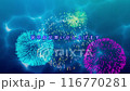 水面上閃爍的五彩煙火和涼爽遊動的金魚/動感夏日問候/幻想日本涼風形象 116770281