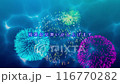 五彩繽紛的煙火在水面上閃爍，金魚涼爽地遊動/運動夏末的問候/夢幻般的日本涼風圖像 116770282
