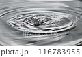クローズアップショット：水滴が液体表面に同心円状の波紋を作り出す。 116783955