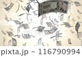 舞う新紙幣 116790994