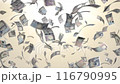 舞う新紙幣 116790995