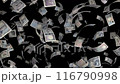 舞う新紙幣 116790998