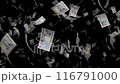 舞う新紙幣 116791000