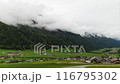Tranquil Alpine village with green fields and misty mountains is a peaceful countryside retreat 116795302