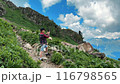 boy taking video of beautiful Caucasus mountains holding smartphone, making videocall .  116798565
