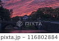 【タイムラプス】皇居　夕焼け空から夜まで　フィックス 116802884
