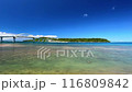 夏の沖縄　瀬底島と瀬底大橋　 116809842