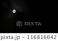 Mid-Autumn Harvest Moon 116816642