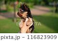 Puppy wearing glasses, sitting in a wicker basket on the grass. Dog looks very cute and serious, creating a funny contrast between its youthful appearance and the adult accessory 116823909