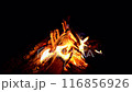 焚き火 116856926