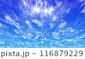 青空と白い雲のタイムラプス 116879229