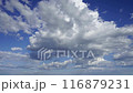 白い雲のタイムラプス 116879231
