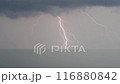 Lightning strikes and moving black clouds, guerilla thunderstorm 116880842