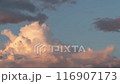 Cumulus and cirrus clouds move rapidly in the sky. Time lapse 116907173