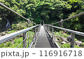 Suspension bridge at Sekinoo Park in Miyakonojo City, Miyazaki Prefecture 116916718
