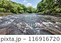 The river at Sekinoo Park in Miyakonojo City, Miyazaki Prefecture 116916720