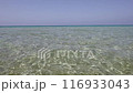 sea, beach, ocean 116933043