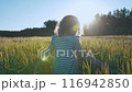 Girl child in dress walking through wheat field, back view at sunset. The girl is touching the ears with her hands. Slow motion. 116942850