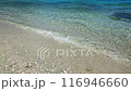 真夏の沖縄　透明度抜群　波打ち際 116946660