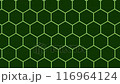 和柄 亀甲文様  和風 素材/ Japanese pattern 116964124