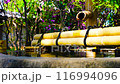 Shioshi Odoshi 116994096