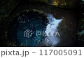 Spring of the Kakita River 117005091