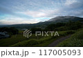 The rising sun over the tea fields of Makinohara 117005093