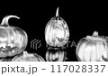 Rendering 3D animation, VISUAL EFFECTS Halloween pumpkins set Model on a black background 117028337
