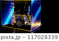 Rendering 3D animation, VISUAL EFFECTS Detailed Fish Aquarium Model on a black background 117028339