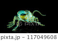Rendering 3D animation, VISUAL EFFECTS Cute Alien Insect Model on a black background 117049608