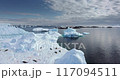 Antarctica wildlife protection. Seals sleeping on ice floe, aerial drone shot. Animals lying on melting iceberg in polar ocean. Explore South Pole. Global issue of climate change and melting icebergs 117094511