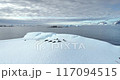 Wild animals in Antarctica. Seals sleeping on ice floe, aerial drone shot. Leopard seal colony lying on floating iceberg in polar ocean. Explore South Pole wildlife. Beauty of wild untouched nature. 117094515