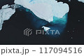 Huge ice glacier at polar nature environment. Blue water icebergs melting underwater in cold ocean in Antarctica. Ice floes aerial drone shot. Antarctic travel, explore. Global warming, climate change 117094516