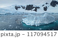 Winter mountains towering polar ocean bay in Antarctica. Melting icebergs glacier floating cold water. Aerial panorama untouched wilderness South Pole seascape. Ecology, climate change, global warming 117094517