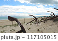 Rusty old anchors on the beach at an anchor cemetery graveyard at Praia do Barril beach, in Tavira, Algarve, Portugal.  117105015
