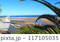 View of fortress and Praia de Cacela Velha beach. Ria Formosa Natural Park during low tide. Serene coastal scene with palm fronds, ocean, and sandy banks viewed from above 117105035