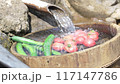 Tomatoes and cucumbers are cooled in water 117147786