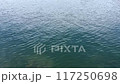 柔軟平靜的水面 117250698