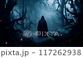 A witch in robe in a creepy forest, surrounded in fog 117262938