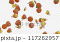 Traditional Halloween candies falling on transparent background. Seamless looping animation. 117262957