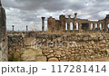 Volubilis is a partly excavated Berber Roman city 117281414