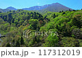 鳥取　大山　  117312019