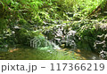 A clear stream flowing through the forests of Mount Takao 117366219